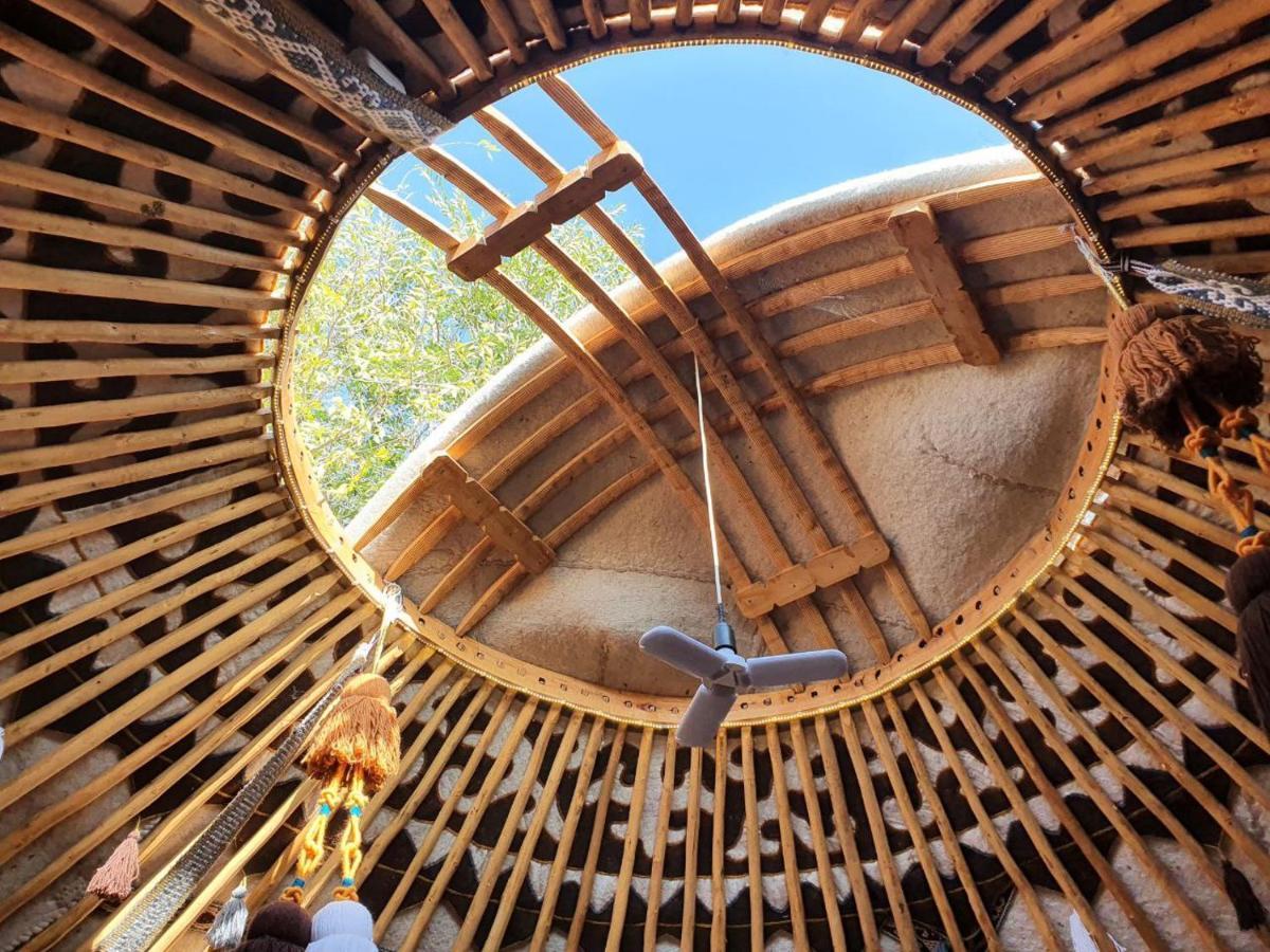 Agat Yurt Camp Bed & Breakfast Kaji-Say Dış mekan fotoğraf