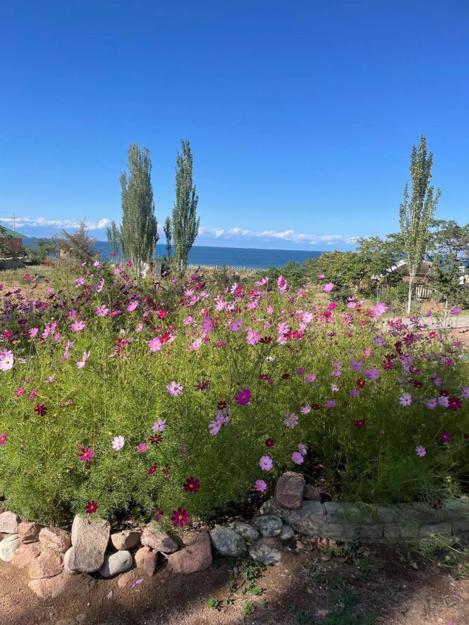 Agat Yurt Camp Bed & Breakfast Kaji-Say Dış mekan fotoğraf