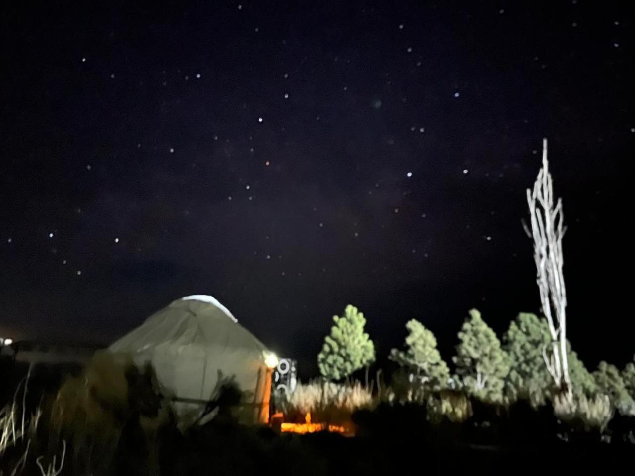 Agat Yurt Camp Bed & Breakfast Kaji-Say Dış mekan fotoğraf